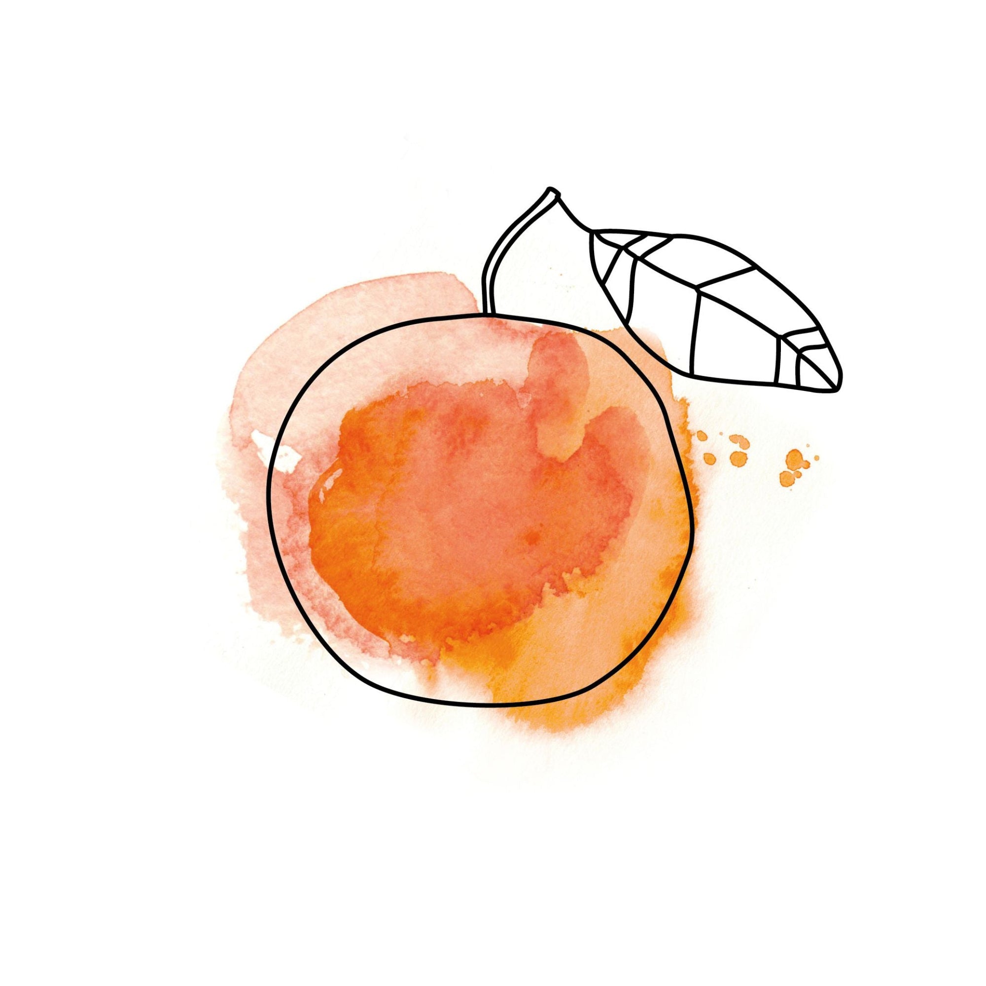 Grapefruit • Die Frucht der Sonne