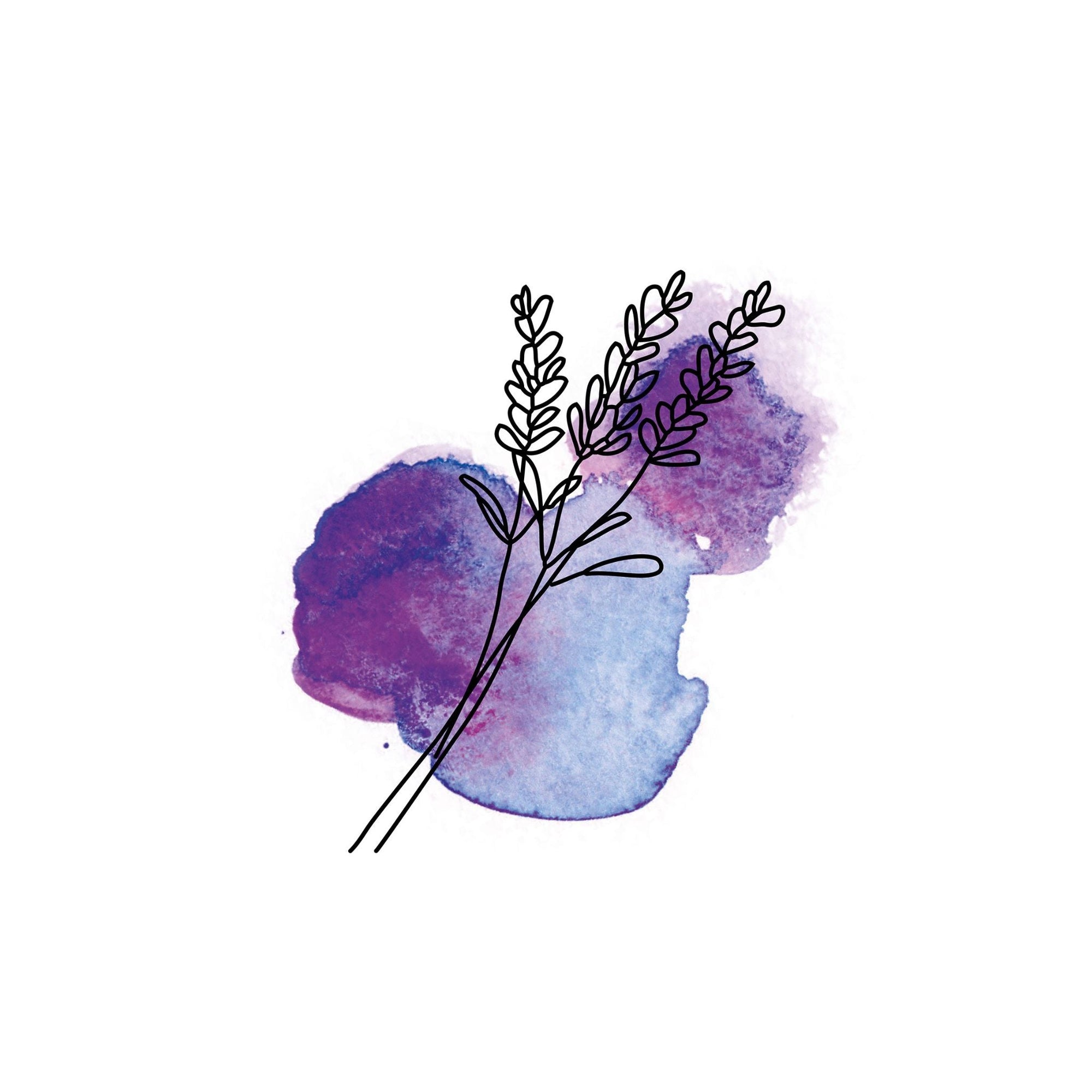 Lavendel – der sanfte Ruhebringer für Körper & Geist