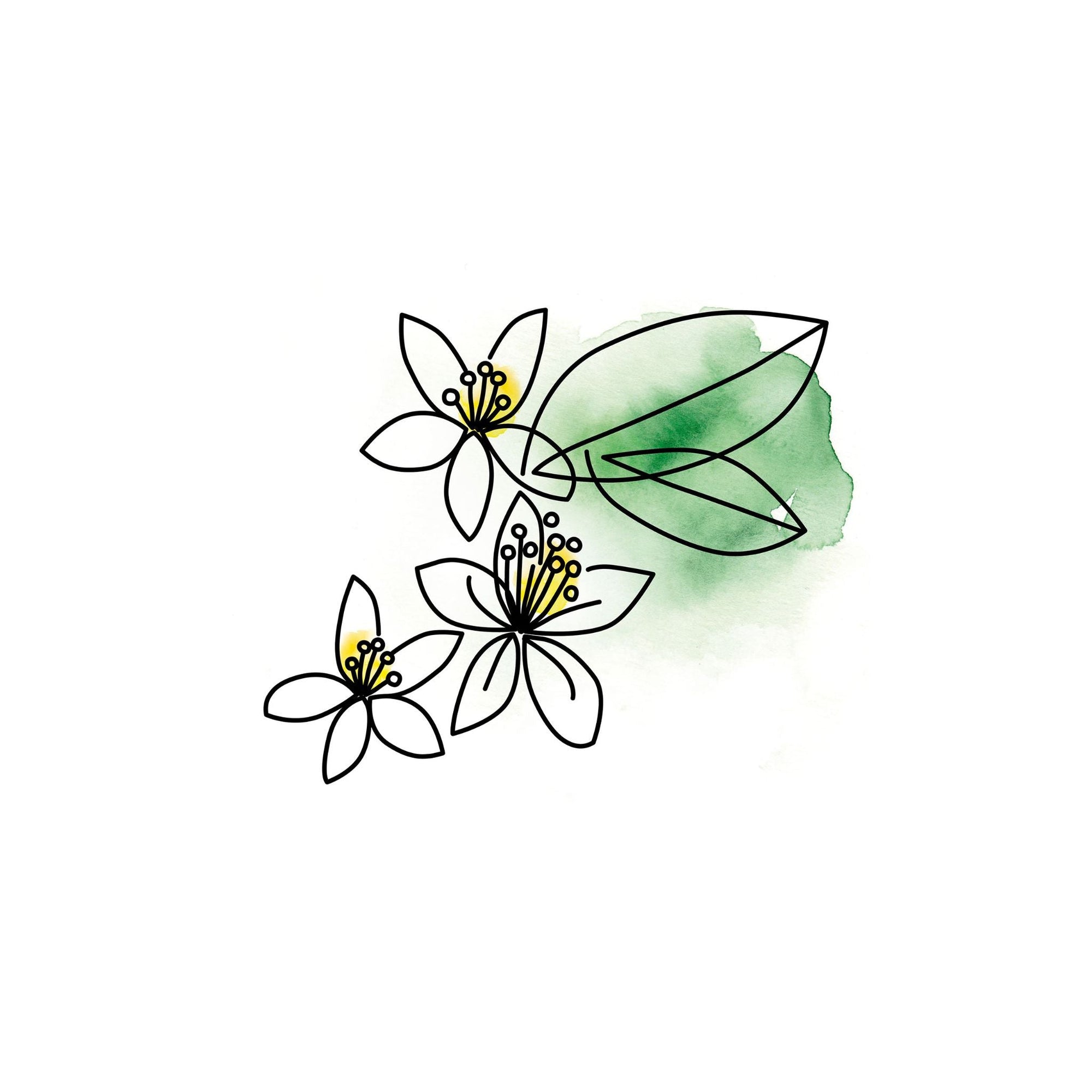Neroli – Eingefangener Sonnenschein des Südens