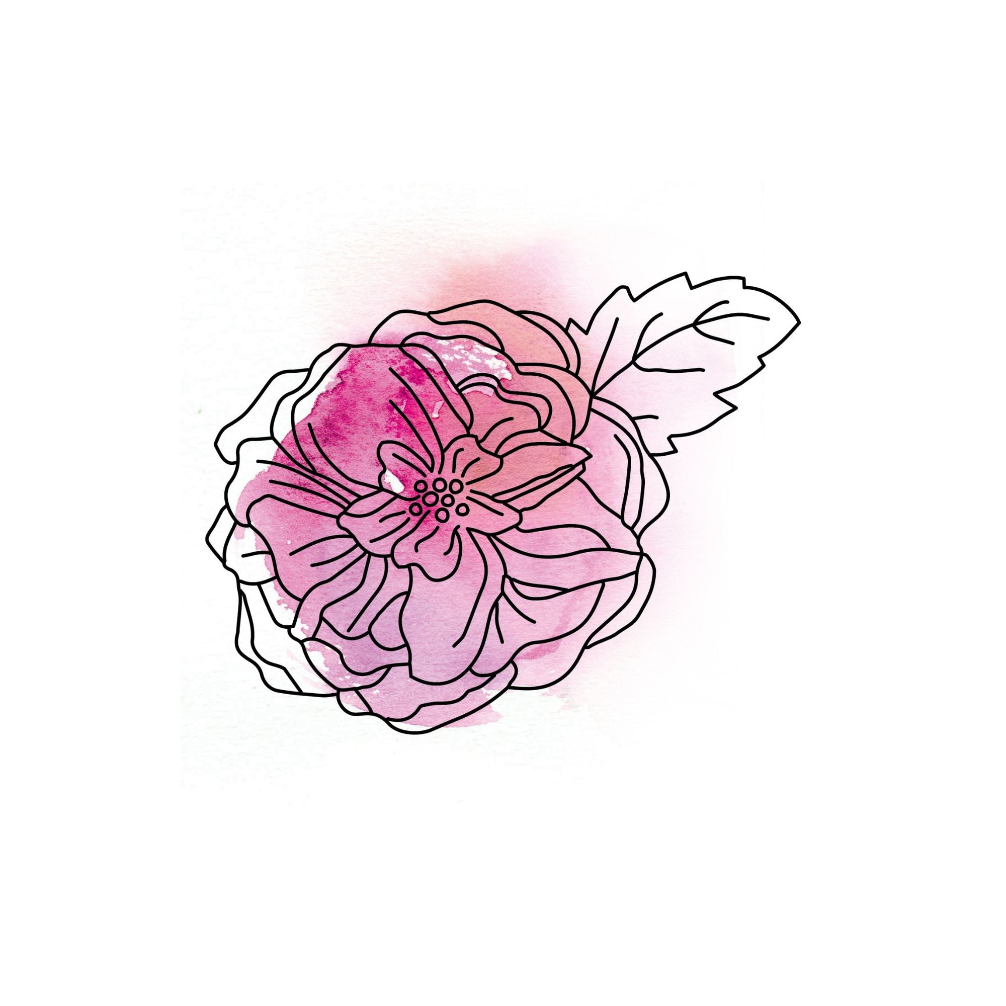 Damaszener Rose • die Herzöffnerin