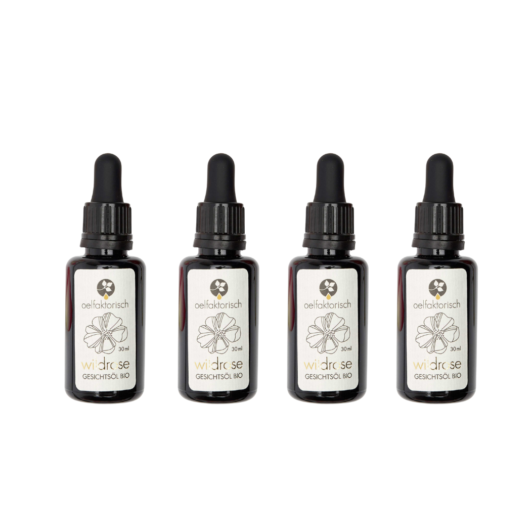 4 Flaschen Wildrose 30 ml Händler oelfaktorisch körperöle