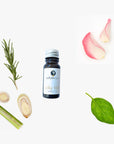 Haaröl mit Rosmarin 10 ml, Rosmarinöl für trockene Haare mit Basilikum, Lemongras, Rosenblätter oelfaktorisch Körperöle