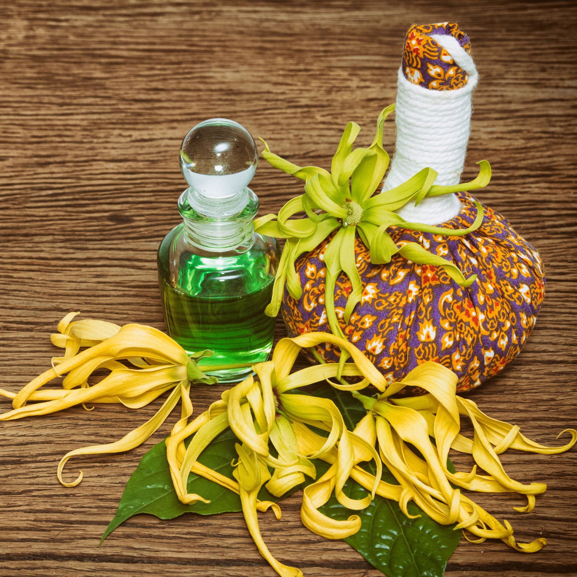 bunte vase mit ylang ylang blüten oelfaktorischörperöle