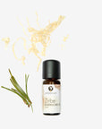 ätherisches Öl Zirbe 10 ml Flasche oelfaktorisch körperöle