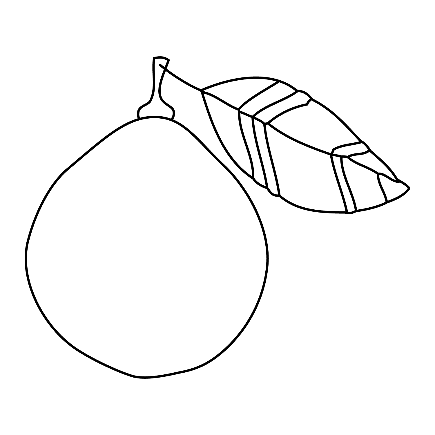 Bergamotte, Illustration, oelfaktorisch Körperöle