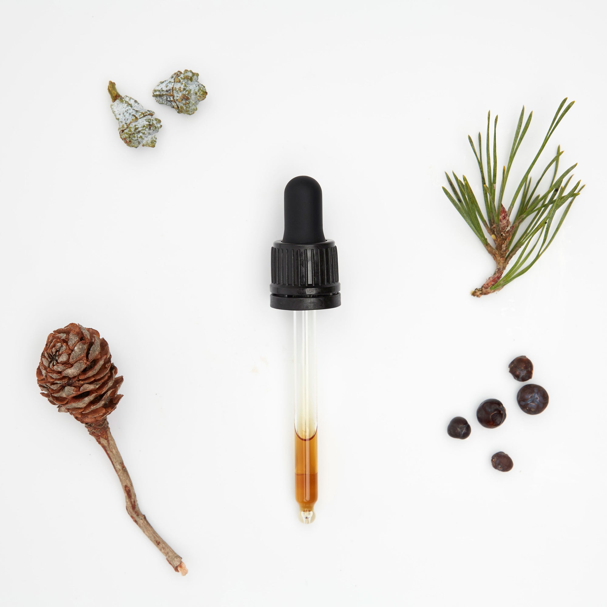 Muskelöl Johanniskrautöl Entspannung Rosa Schmid Pflegeöl oelfaktorisch Körperöle Pipette