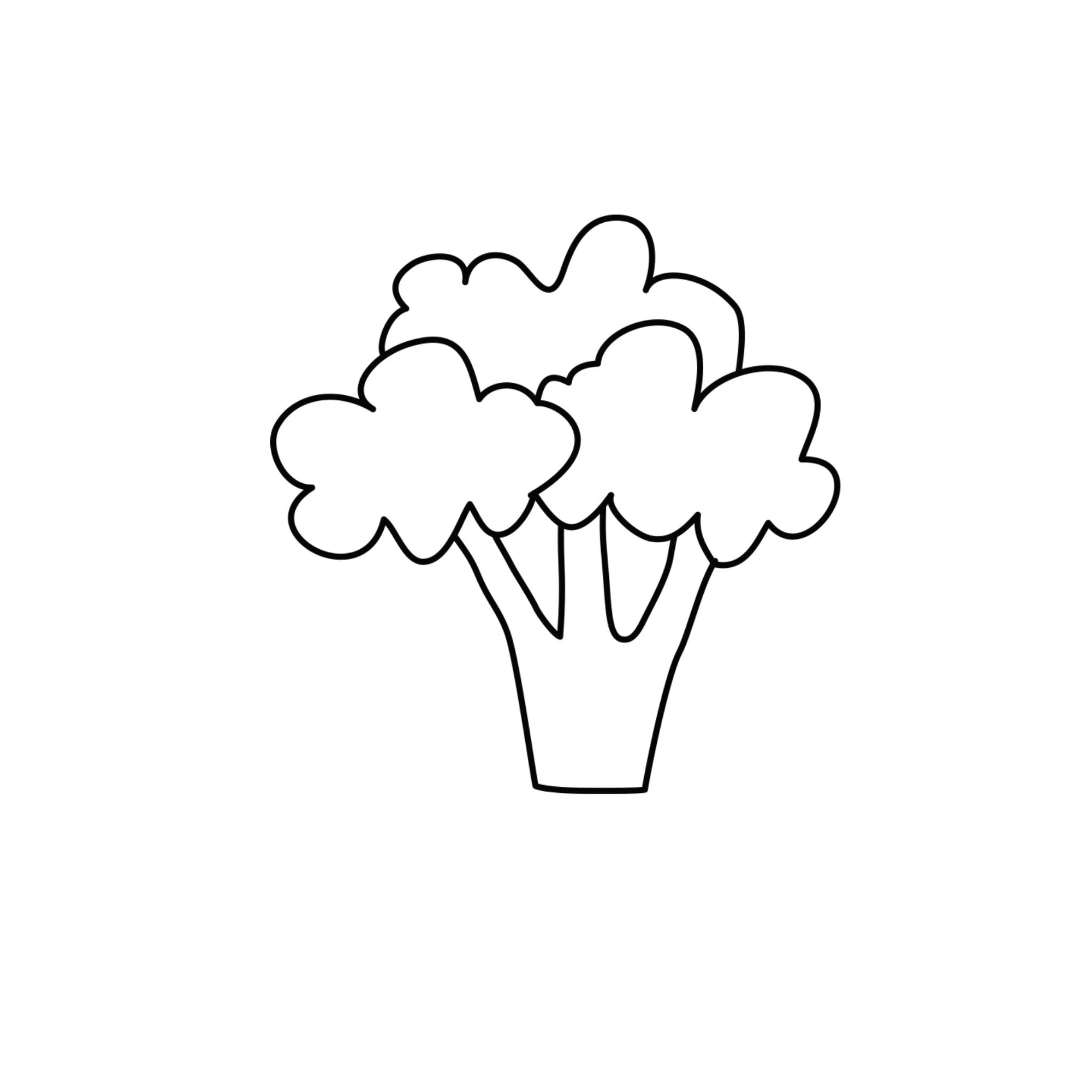Brokkolisamenöl ätherische Öle Icon Wissen Blog oelfaktorisch Körperöle