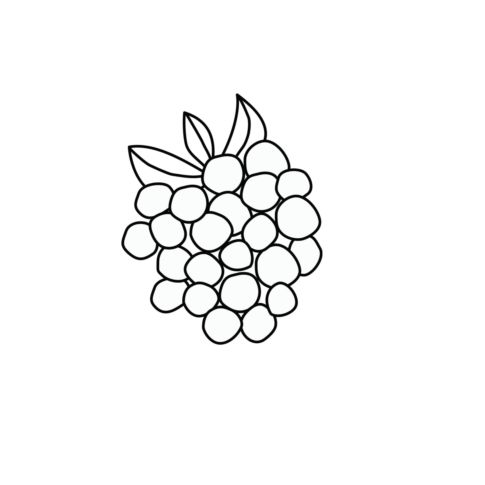 Himbeersamenöl ätherische Öle Icon Wissen Blog oelfaktorisch Körperöle