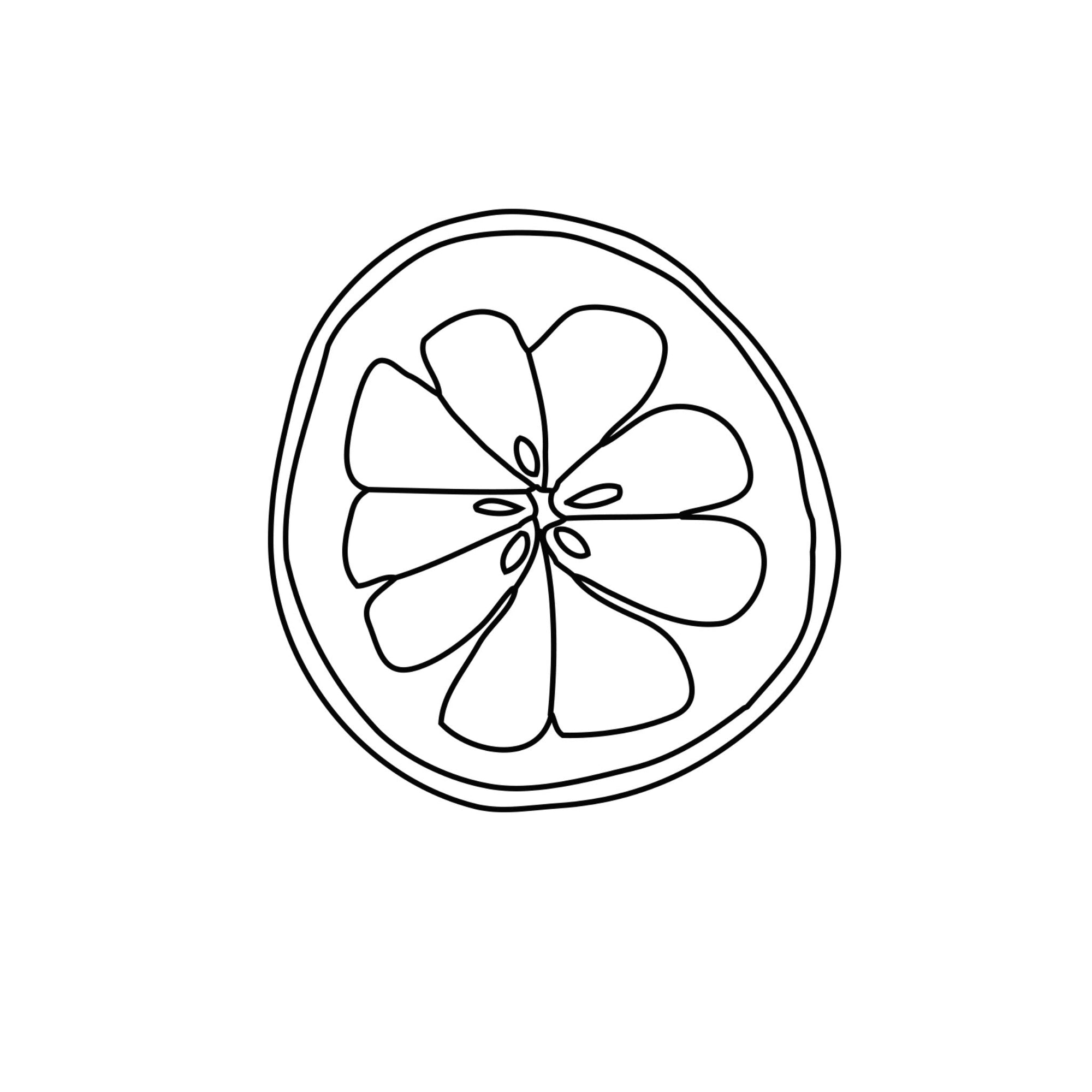 Grapefruit ätherische Öle Icon Wissen Blog oelfaktorisch Körperöle