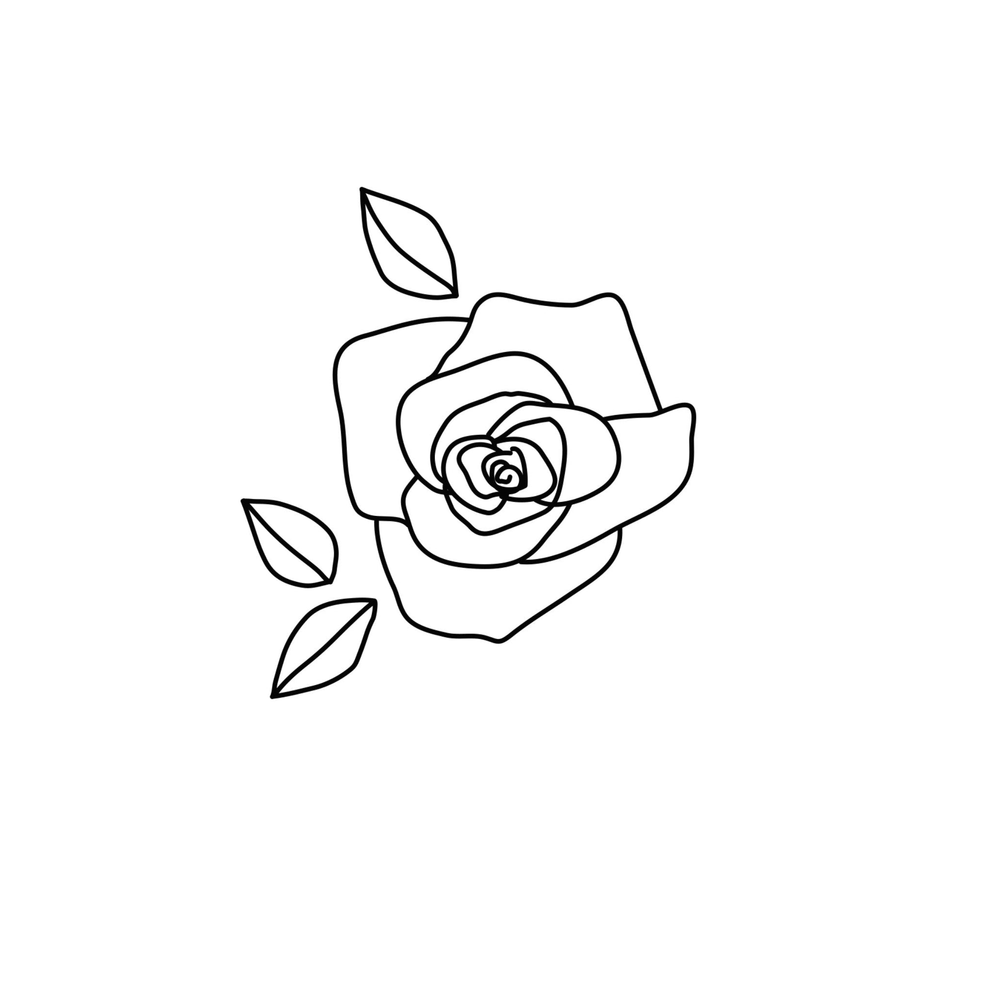 Damaszener Rose ätherisches Öl Wissen Blog Icon oelfaktorisch Körperöle