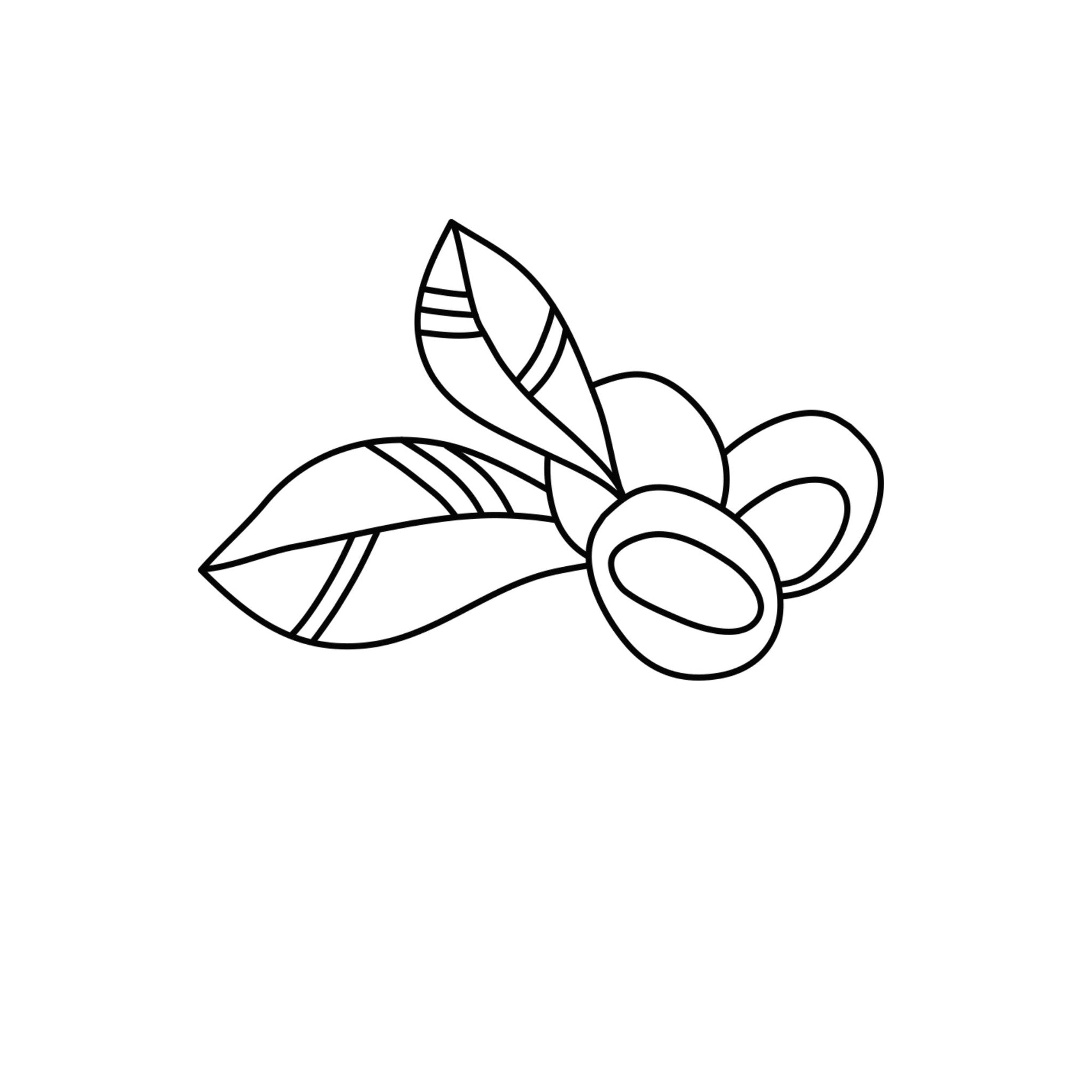 Sheabutter ätherische Öle Icon Wissen Blog oelfaktorisch Körperöle