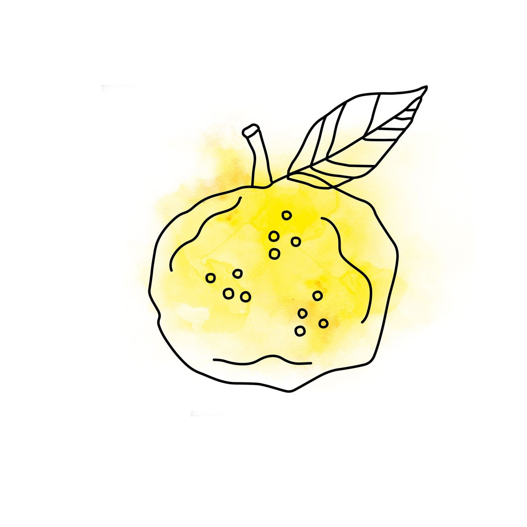 Yuzu-Zitrone • Die Glücklichmacherin