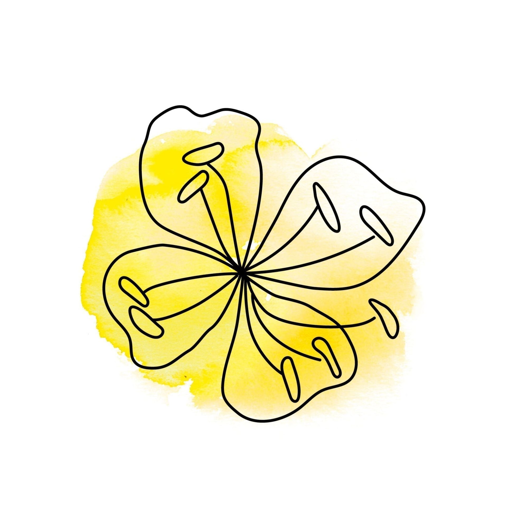 Nachtkerzenöl – sanfte Pflege aus der Natur