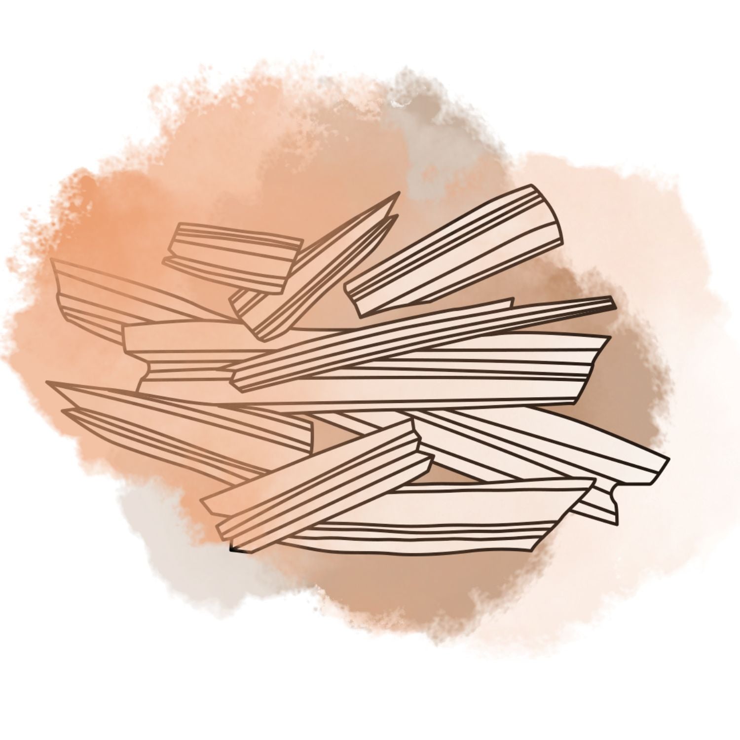 Illustration ätherisches Öl Ho-Holz