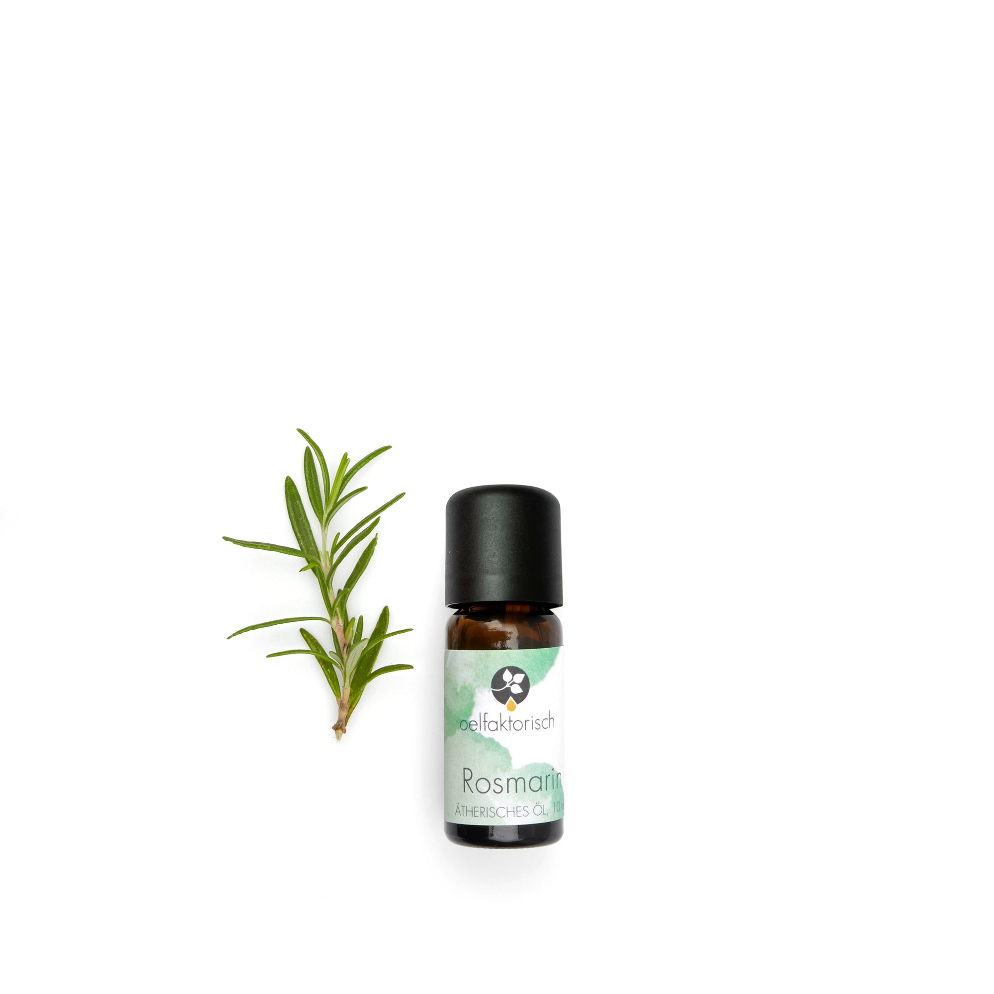 Rosmarin ätherisches Öl 10ml Flasche oelfaktorisch körperöle