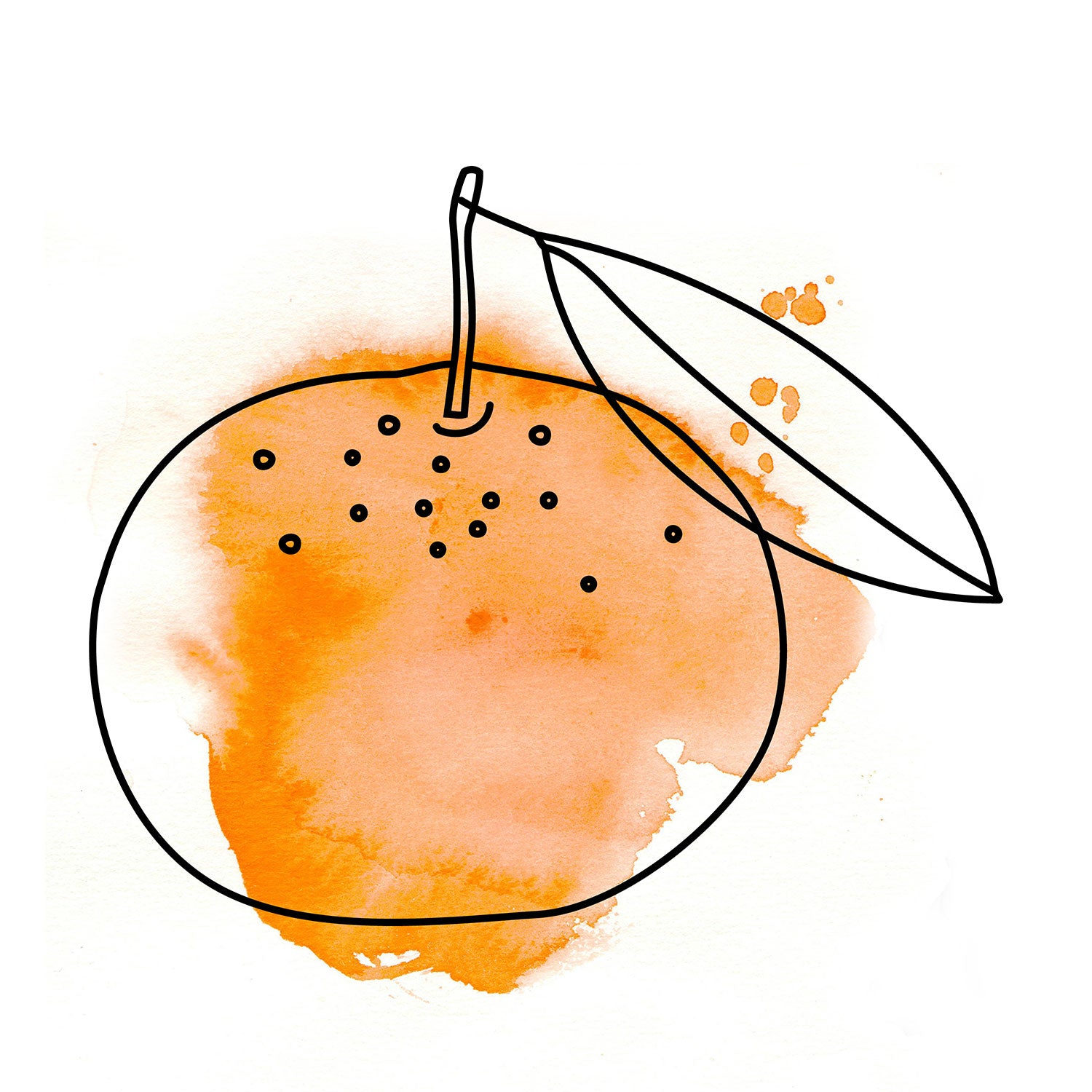 Illustration mandarine orange oelfaktorisch Körperöle