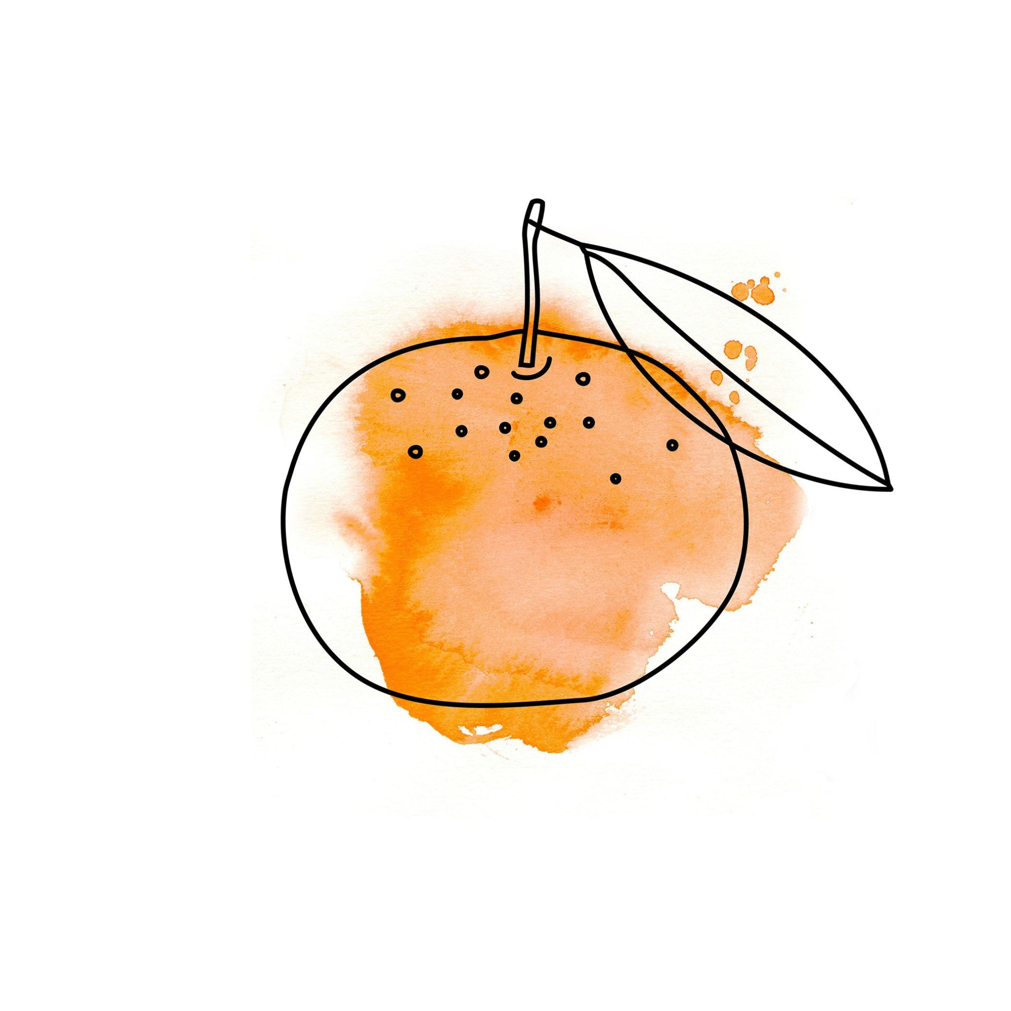 mandarine zeichnung orange aquarell oelfaktorisch körperöle