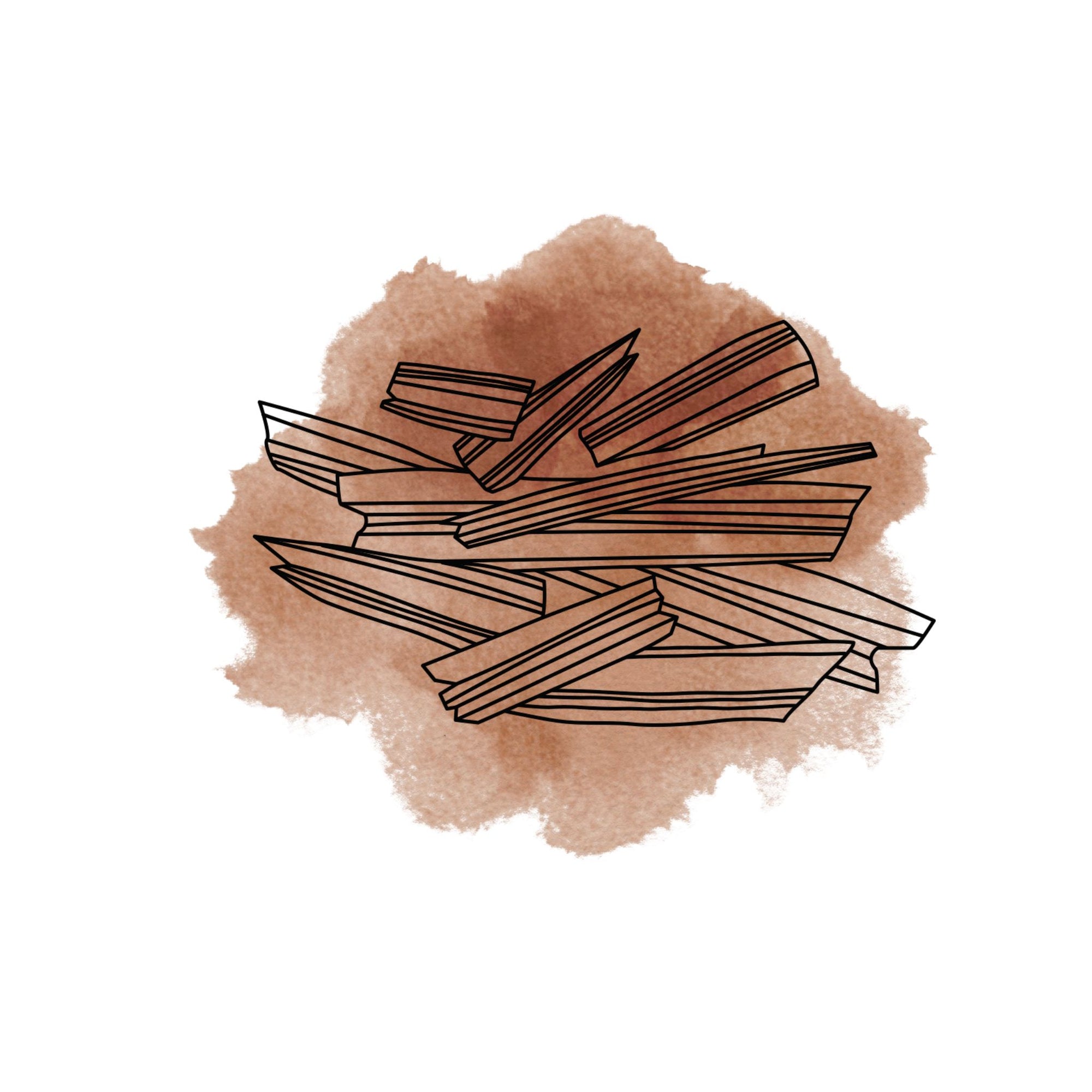 Grafik Illustration Sandelholz gezeichnet braun oelfaktorisch körperöle