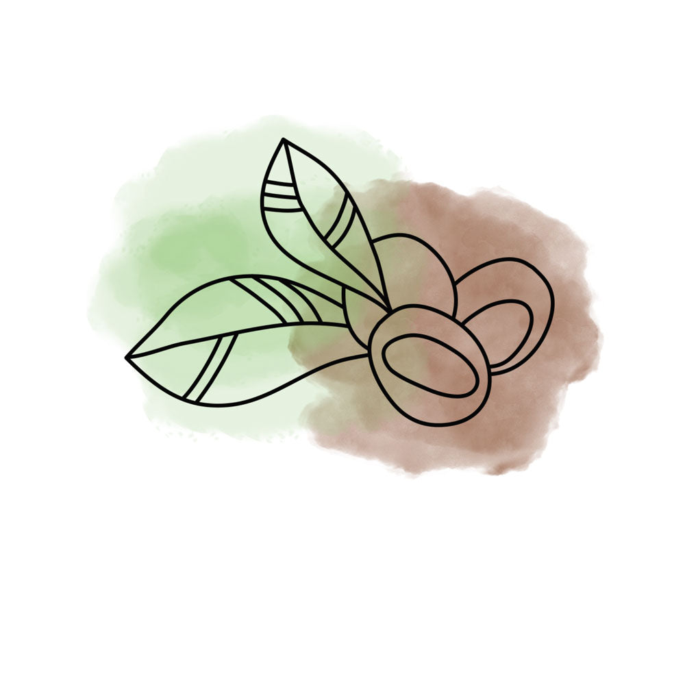 Grafik Illusatration Sheabutter oelfaktorisch körperöl