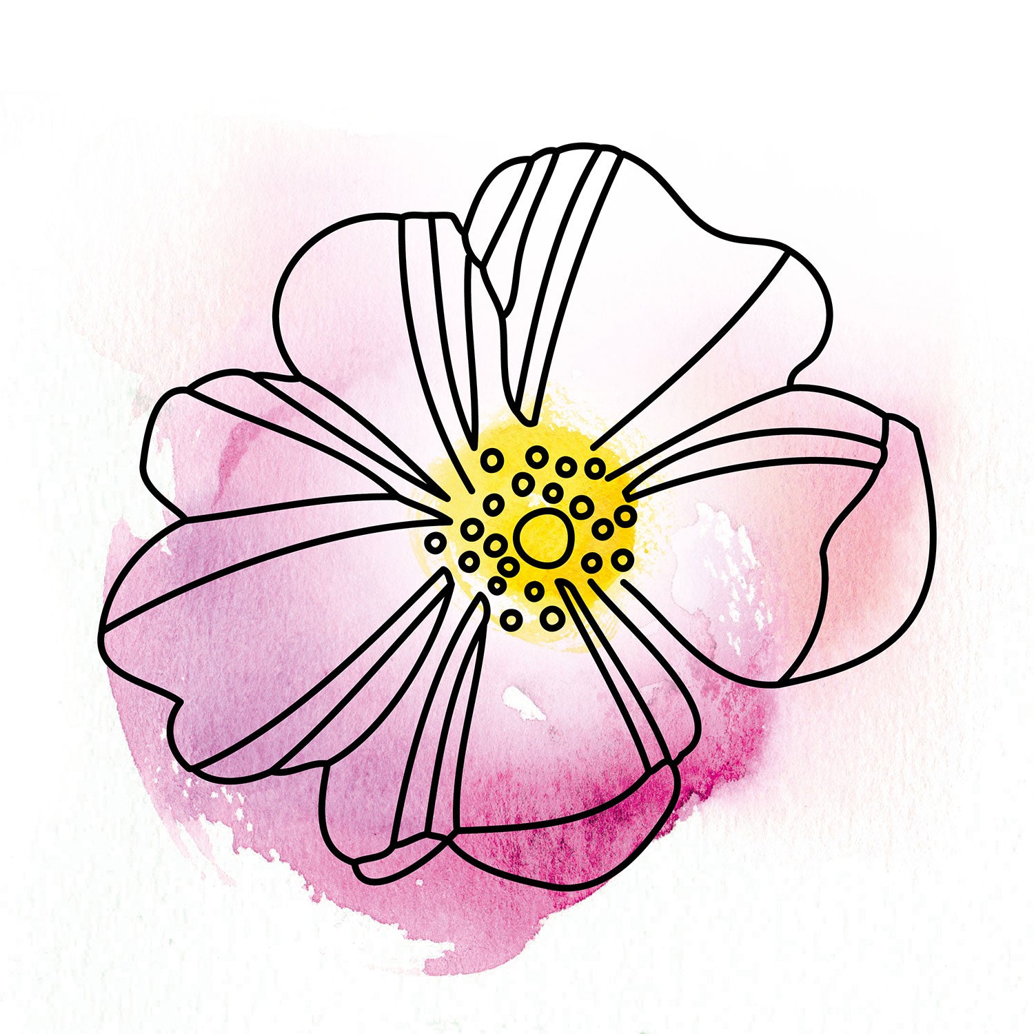 Illustration einer rosa Wildrose mit gelben Blütenstempeln oelfaktorisch Körperöle
