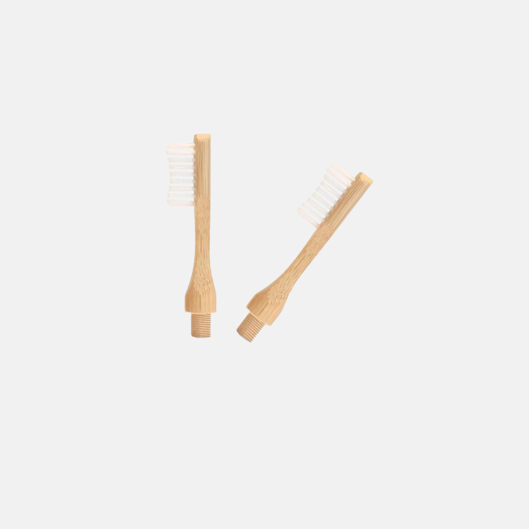 Set of two interchangeable bamboo toothbrush heads